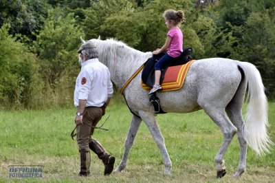 I nostri amici animali